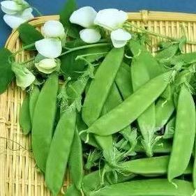 豆鲜生甄选