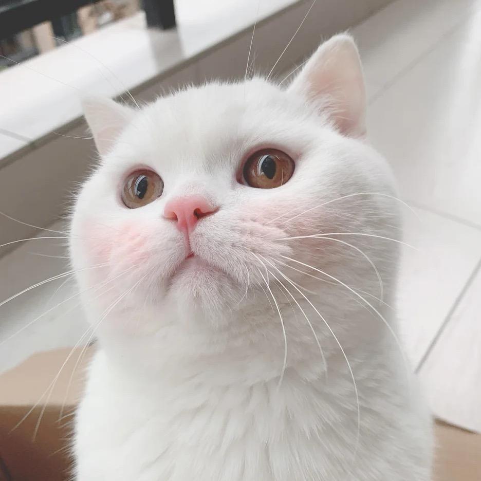 小糖球