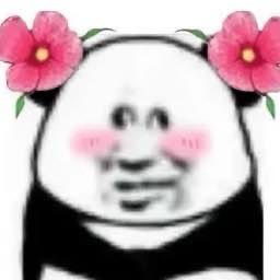 小李JJ