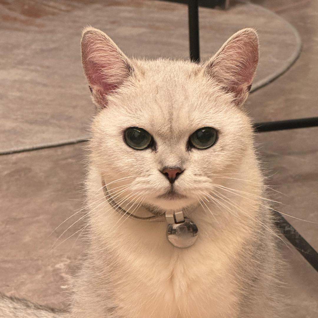 宝藏班-冠莹速写