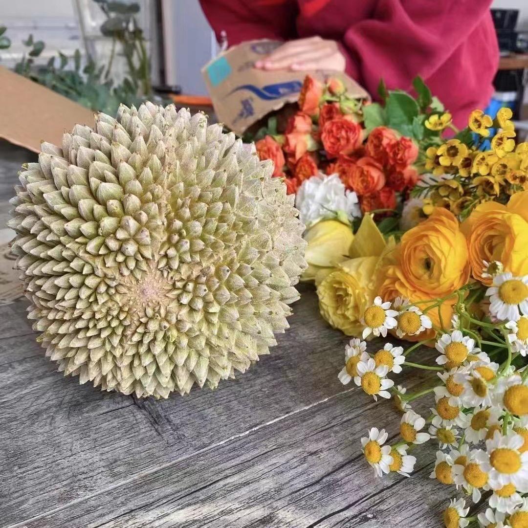 容心果品超级批发行