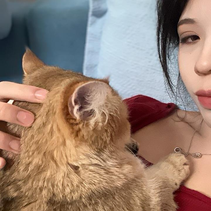 小熊今天摆烂了吗