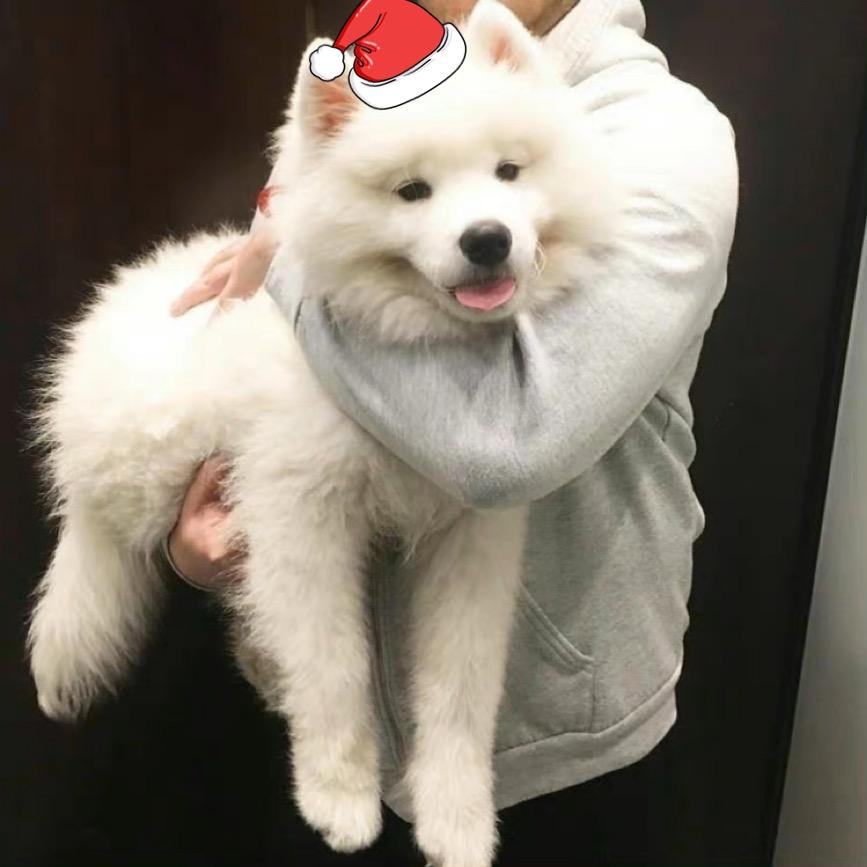 麦旋风还没吃完