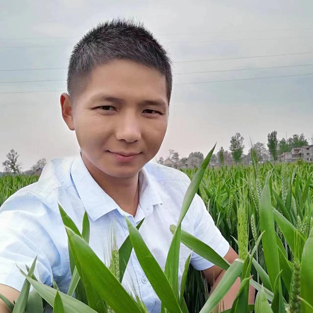 小刘备