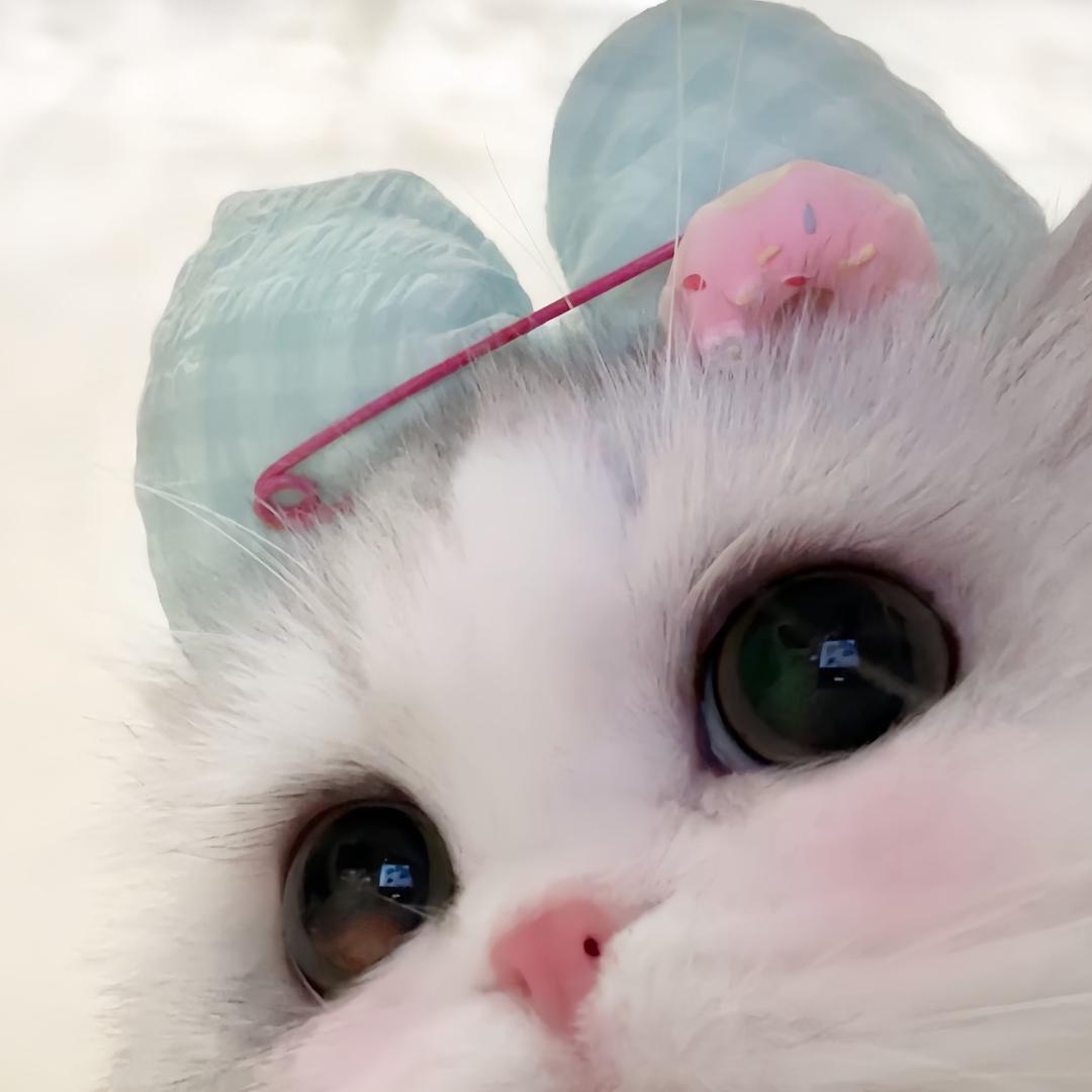 不能吃芒果～