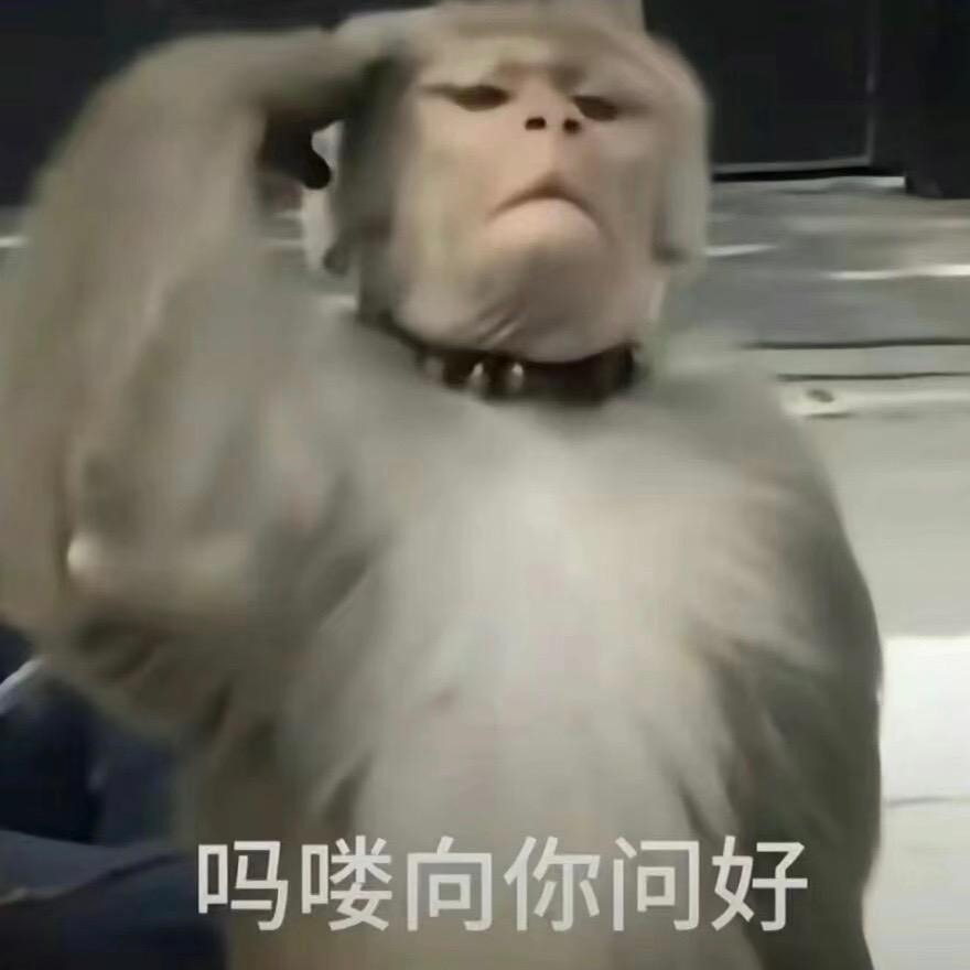 一个不想上班的吗喽