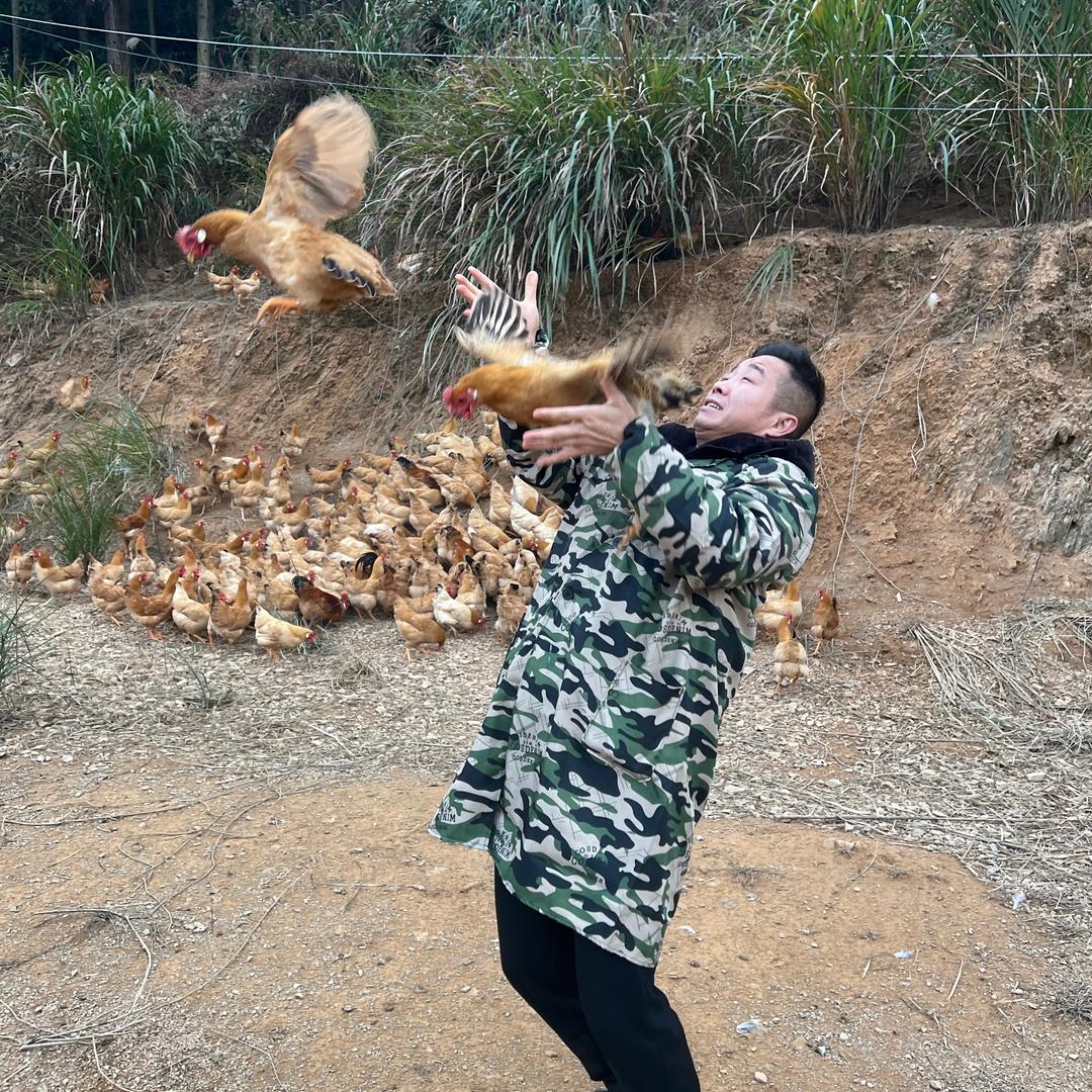 上饶大南（土🐓专家）