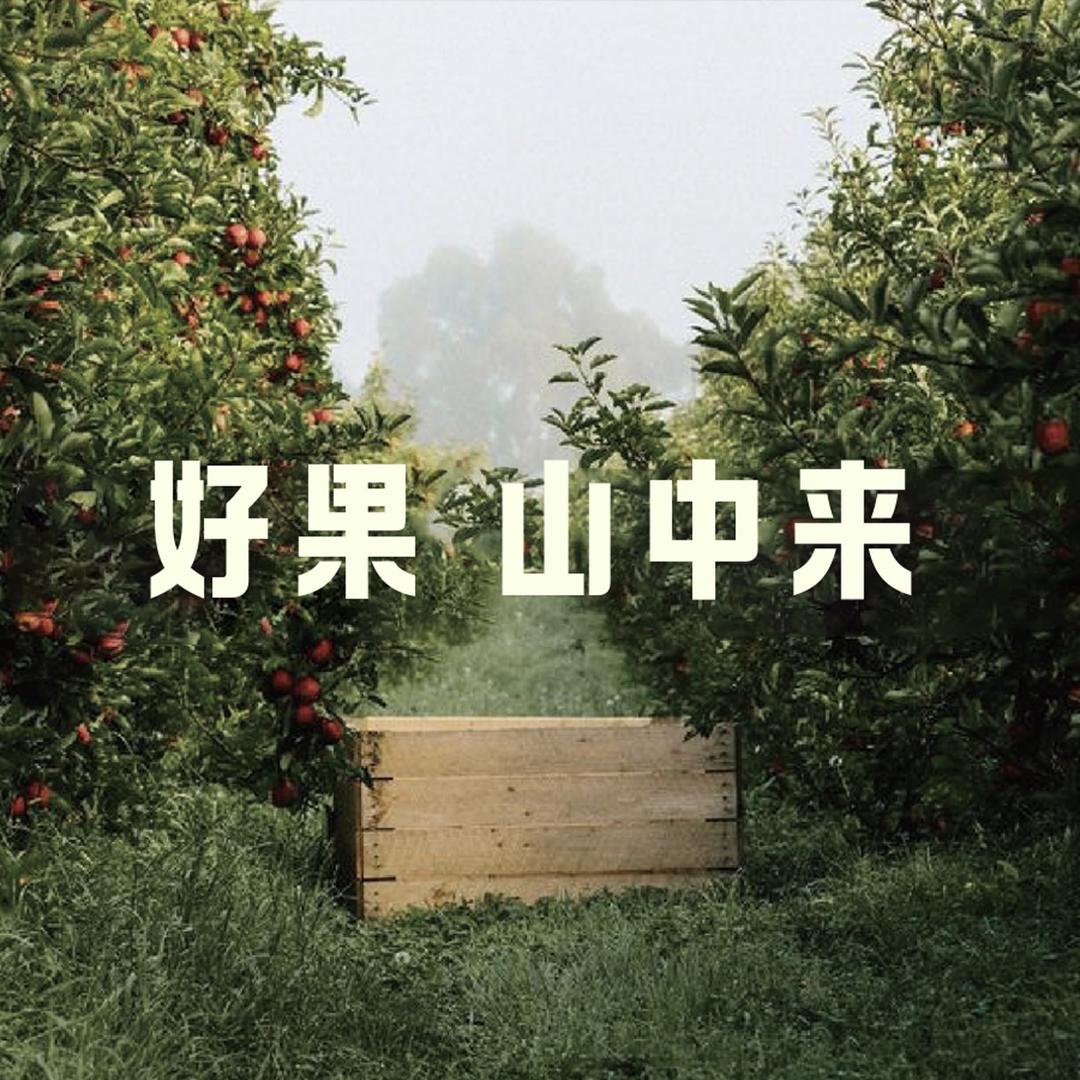 山中来高端水果