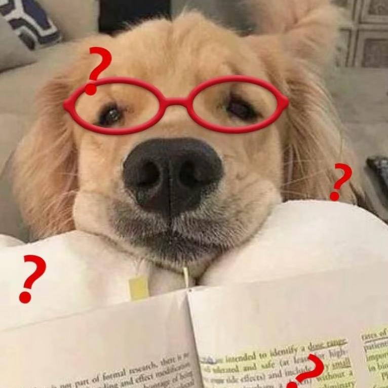 一只炭烤小肥羊🐑