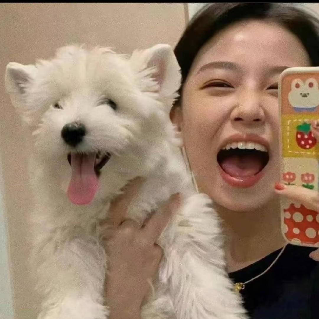 你算哪块小饼干