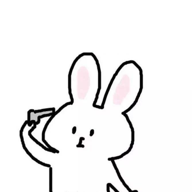 KL 🐰🐰🐰