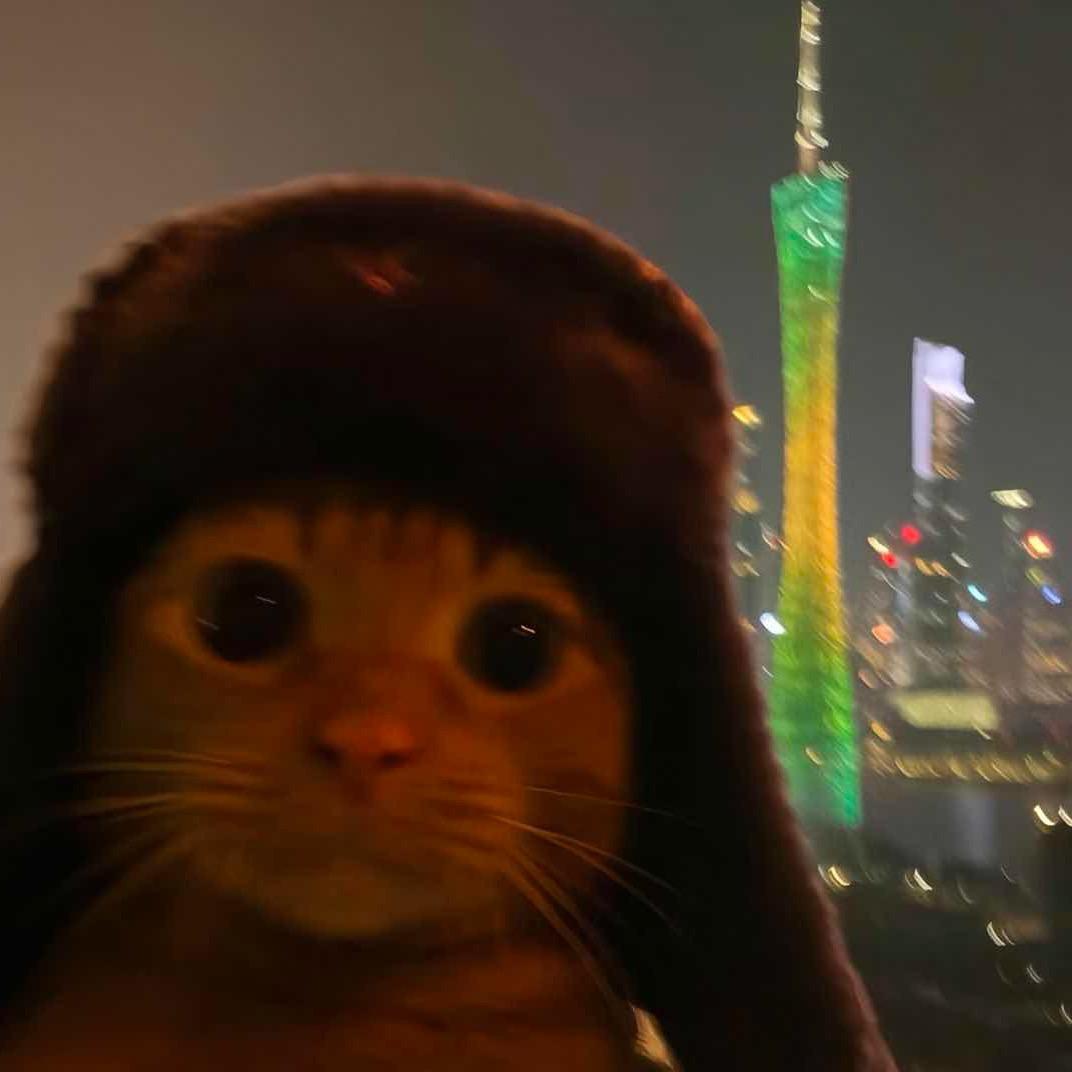丰丰丰