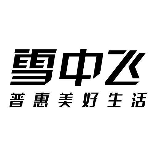 雪中飞童装