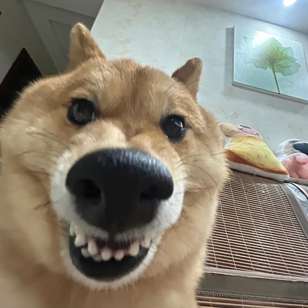保温杯里泡火锅底料