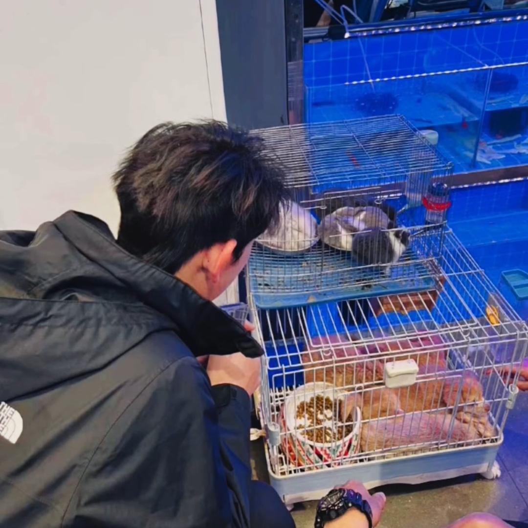 爱吃蛋挞