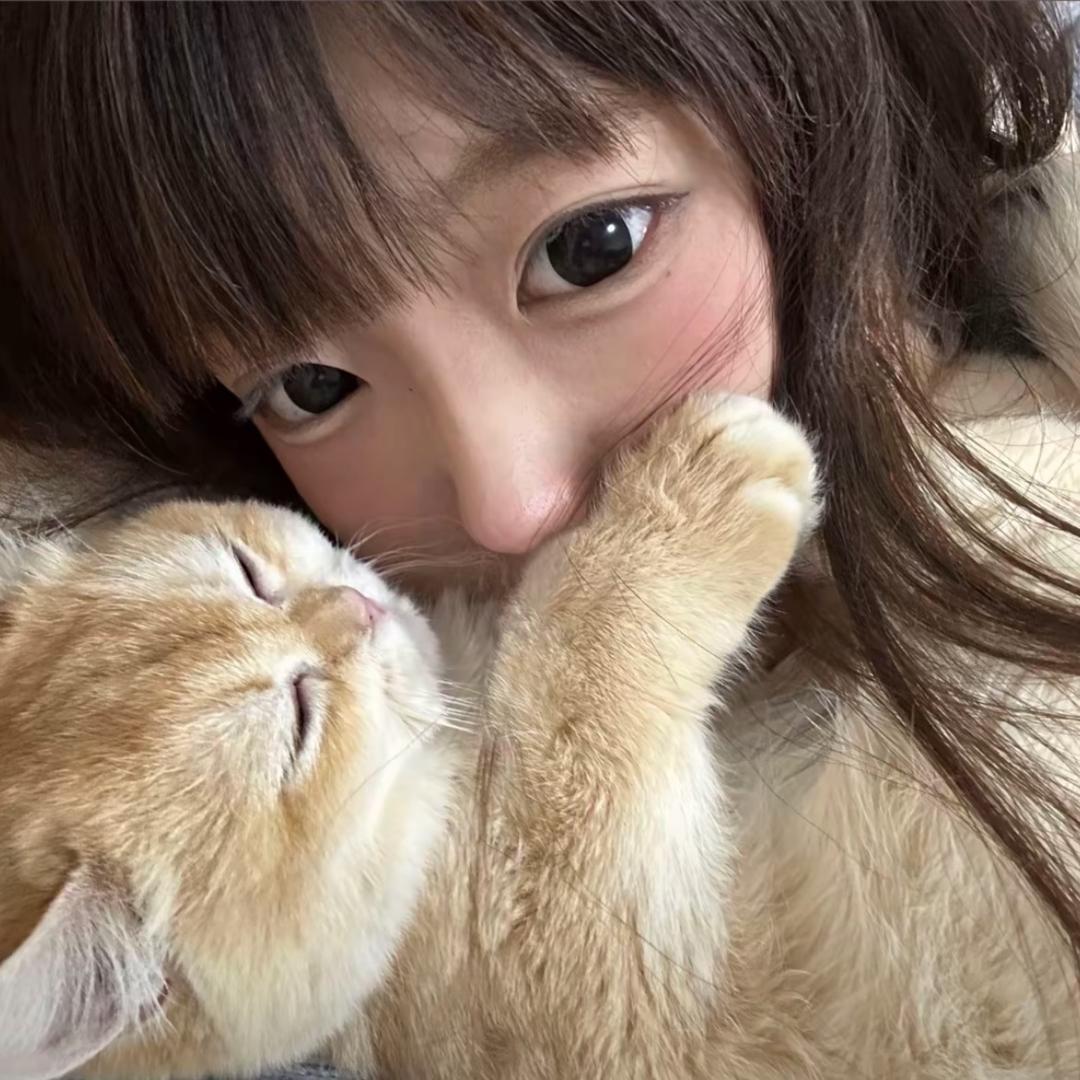 小猫米米