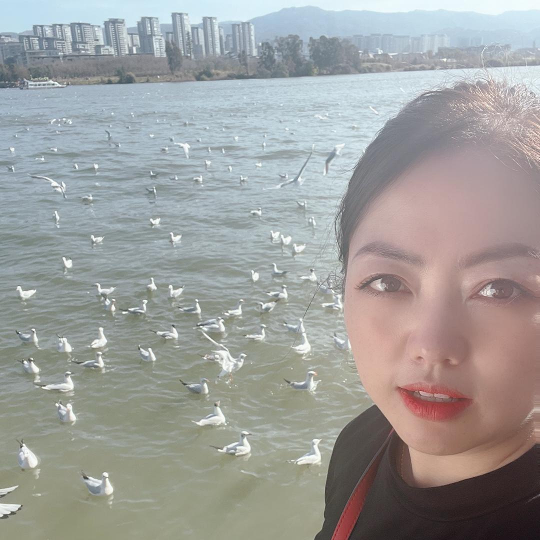 大海飞燕