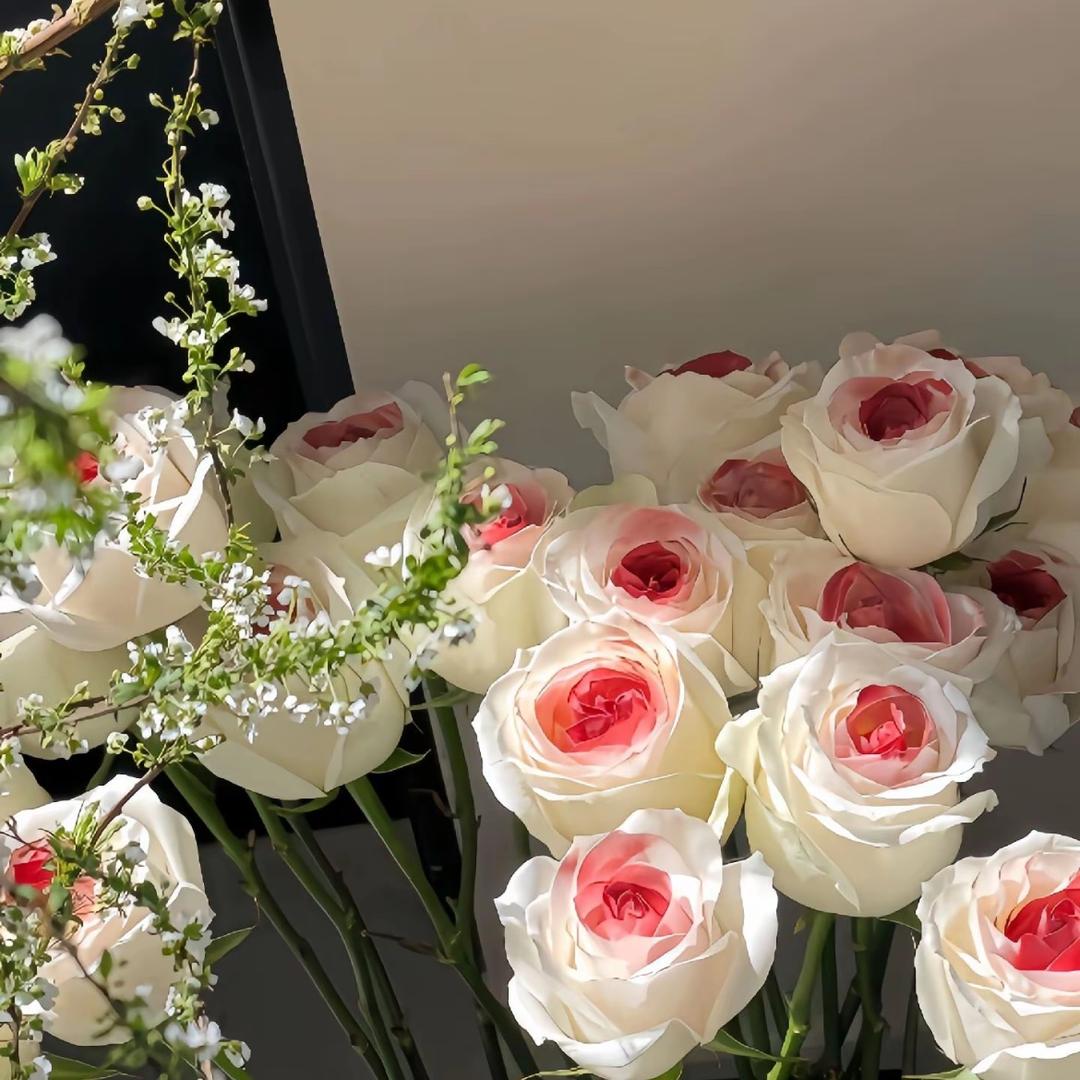 এ᭄多财多亿ഒᩚ࿐