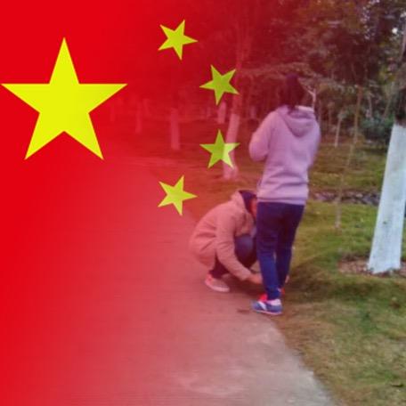 你猜我猜不猜