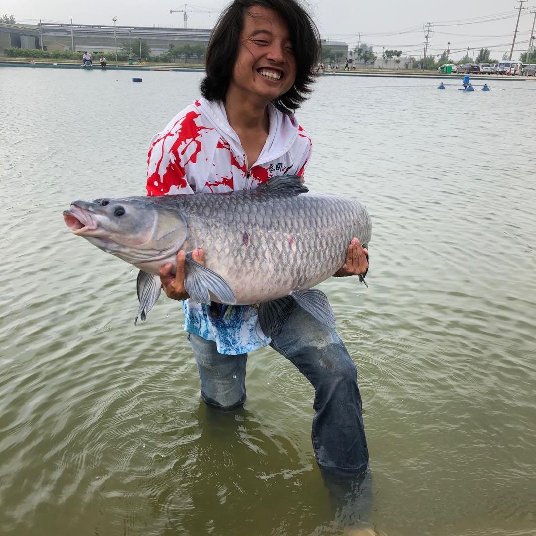长辉钓鱼直播（辉狐）