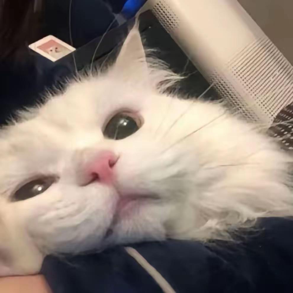 𝙎𝙝𝙚𝙧𝙮𝙡.😬