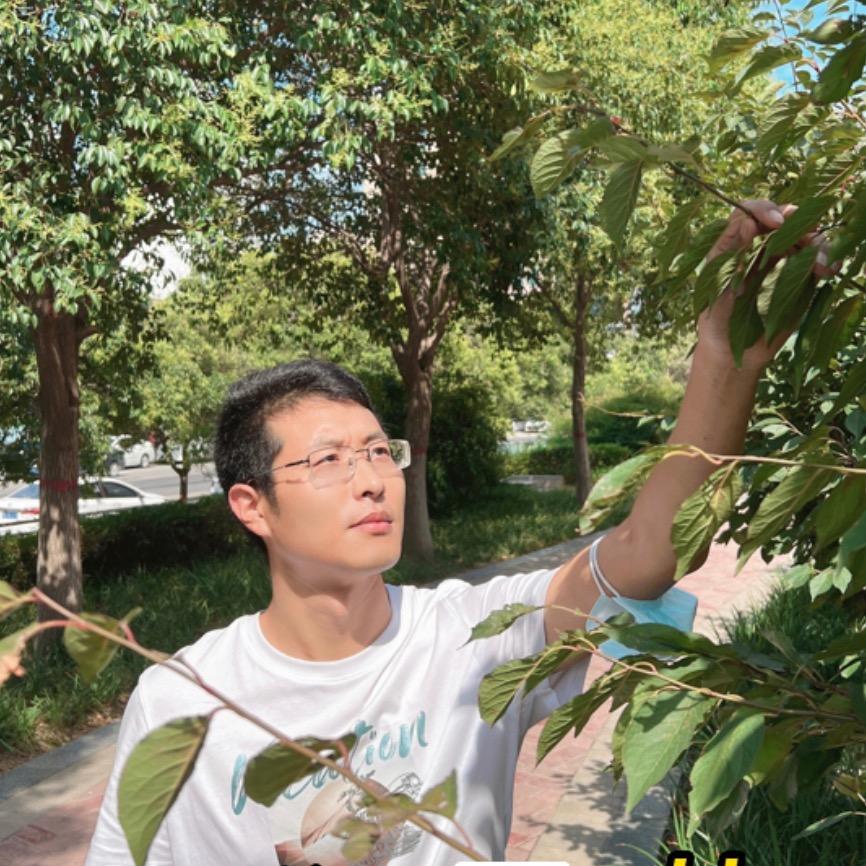 劳恩格润园林养护康夫子