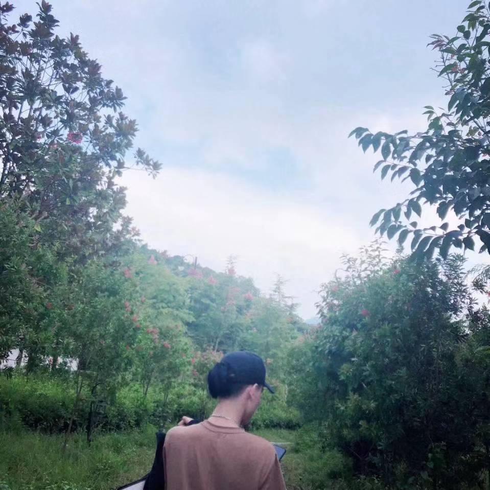 云云果