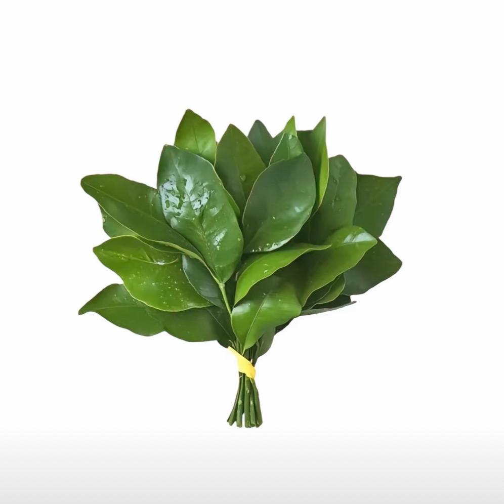 一口八个荔枝