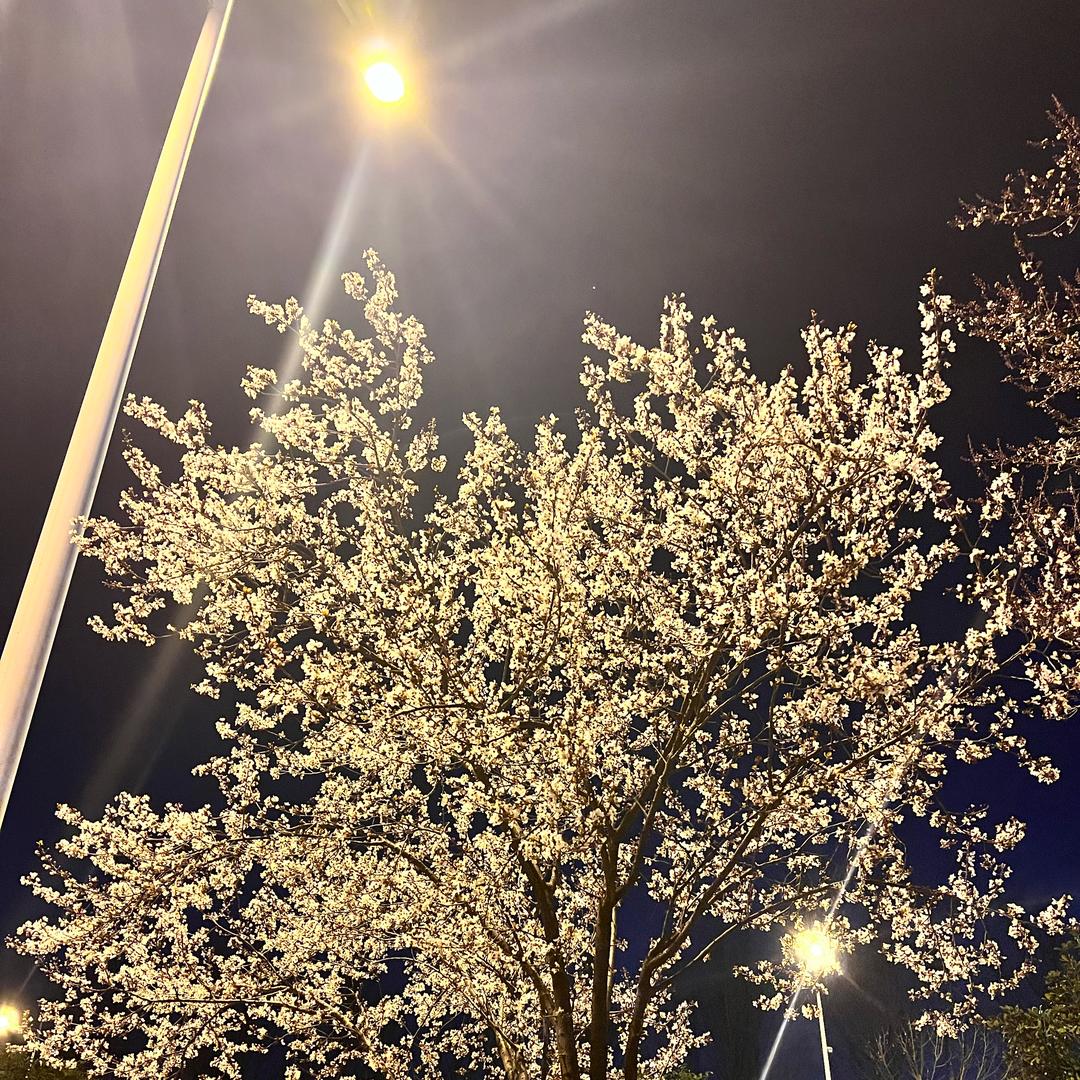 天空☁️