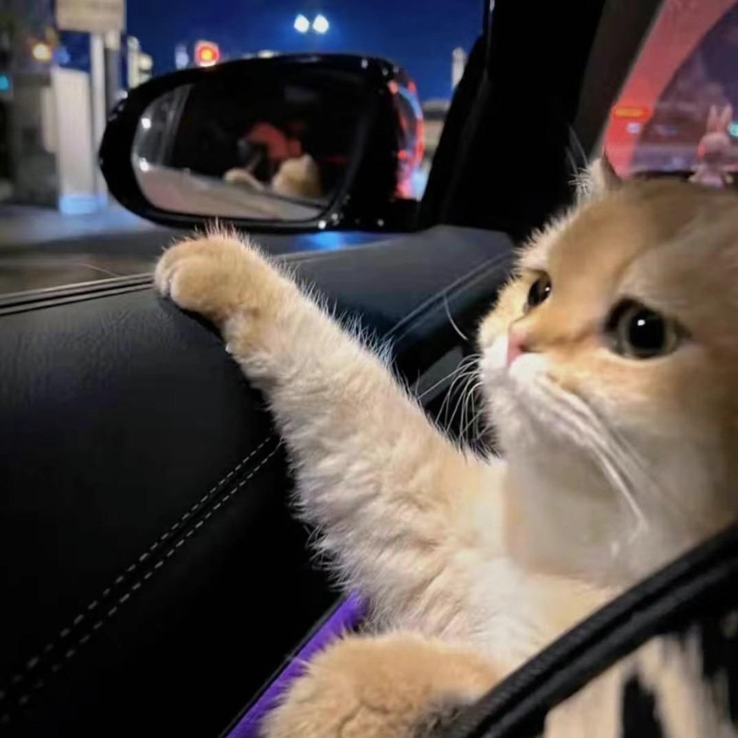 小焕☆