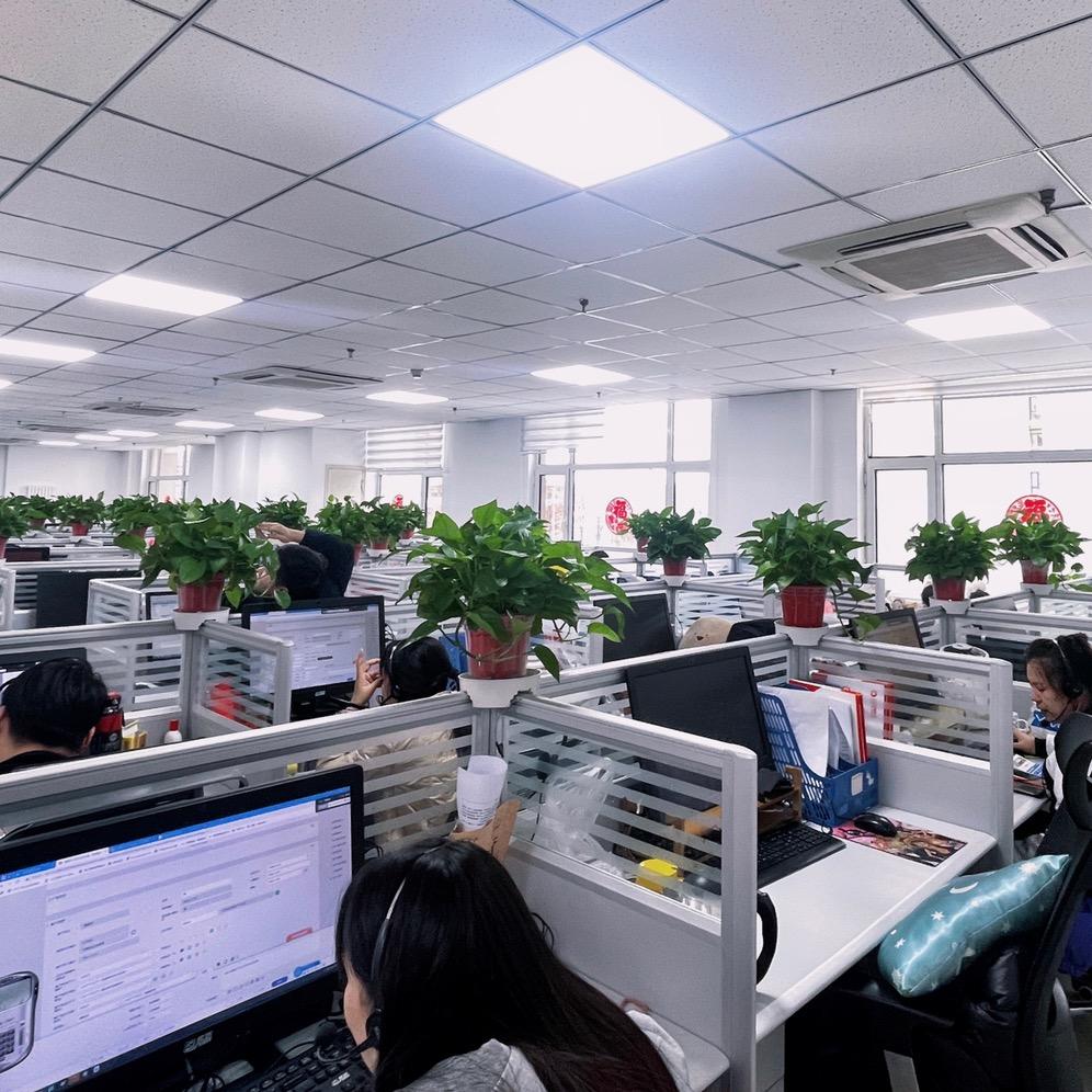 沧州人保线上服务团队