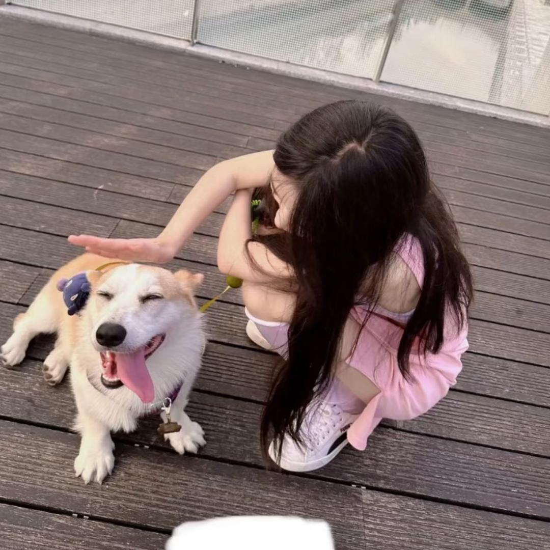 小紫啧