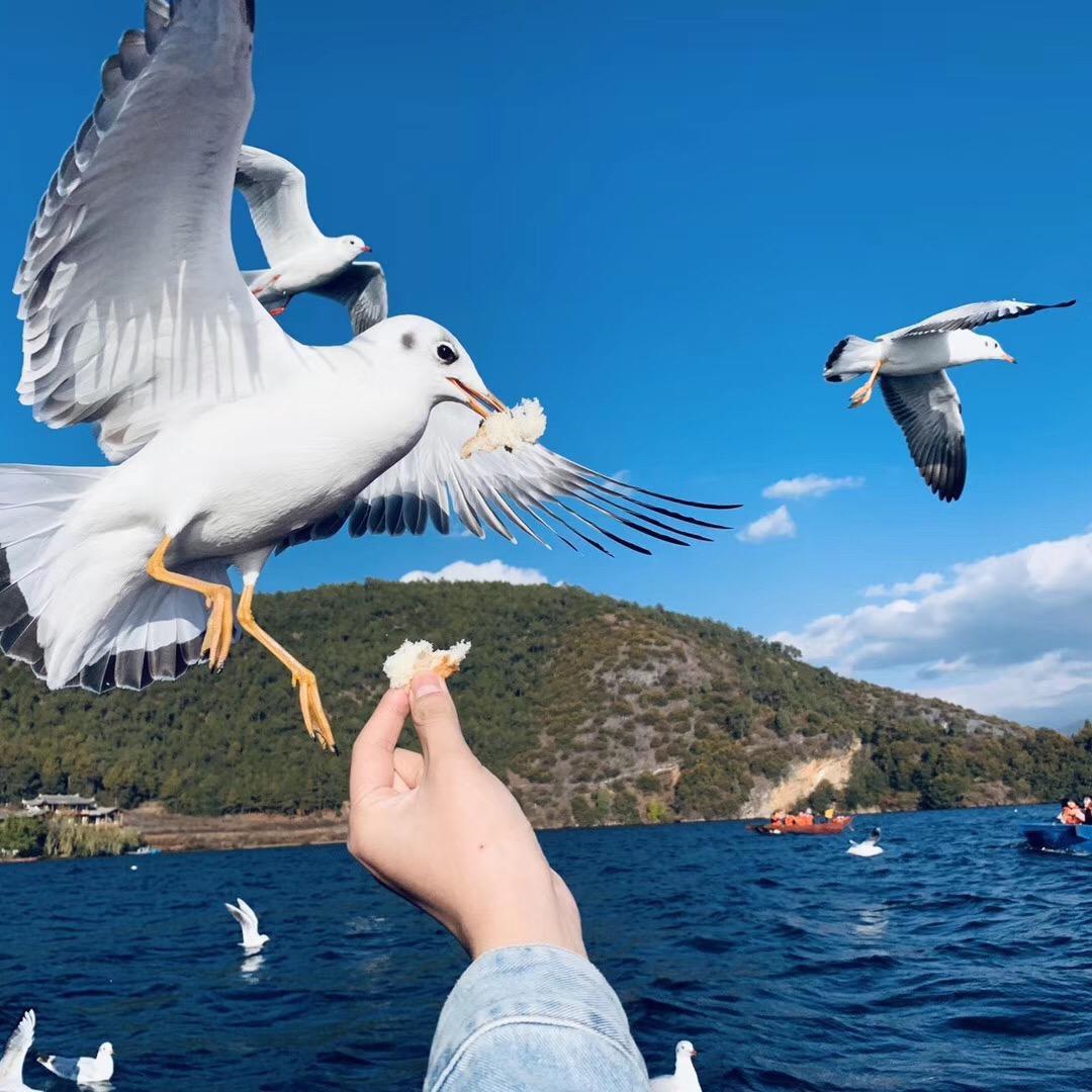 周狮兄