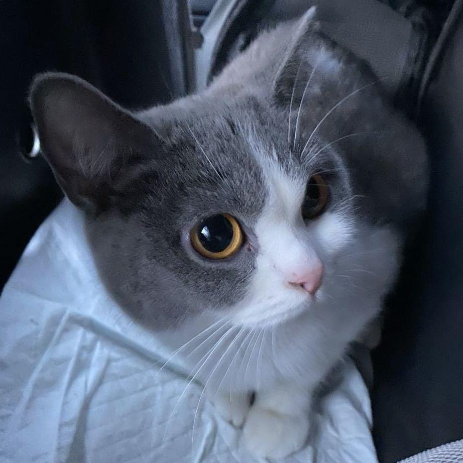 __