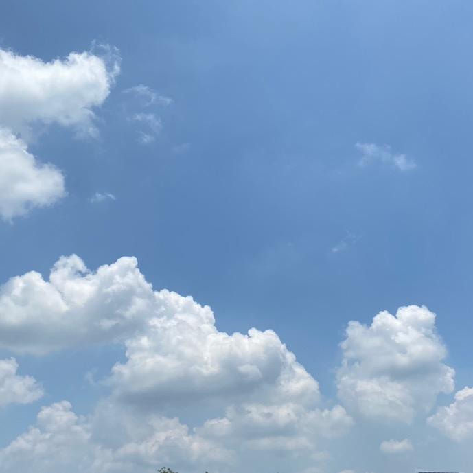 兮兮优选