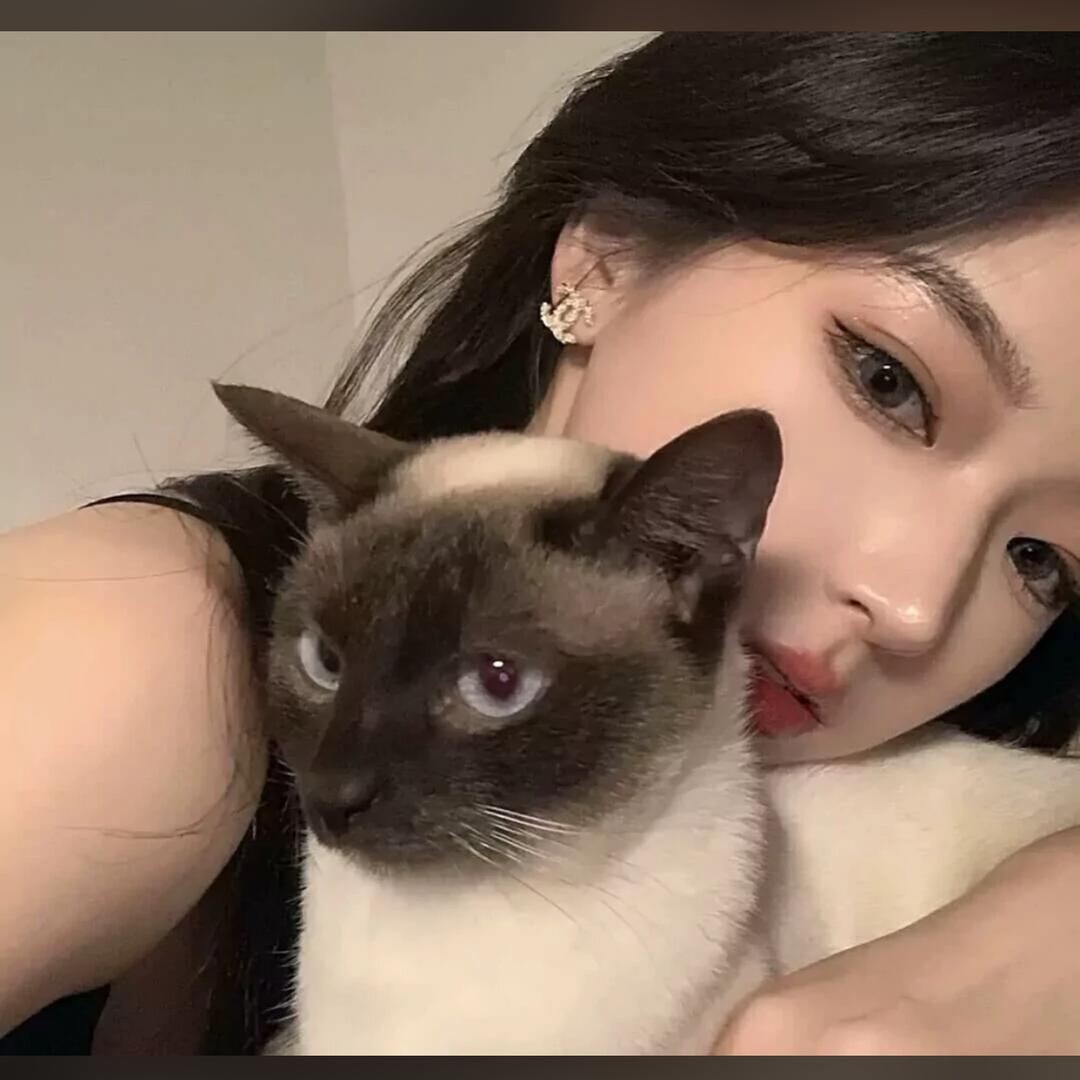 雾散了。