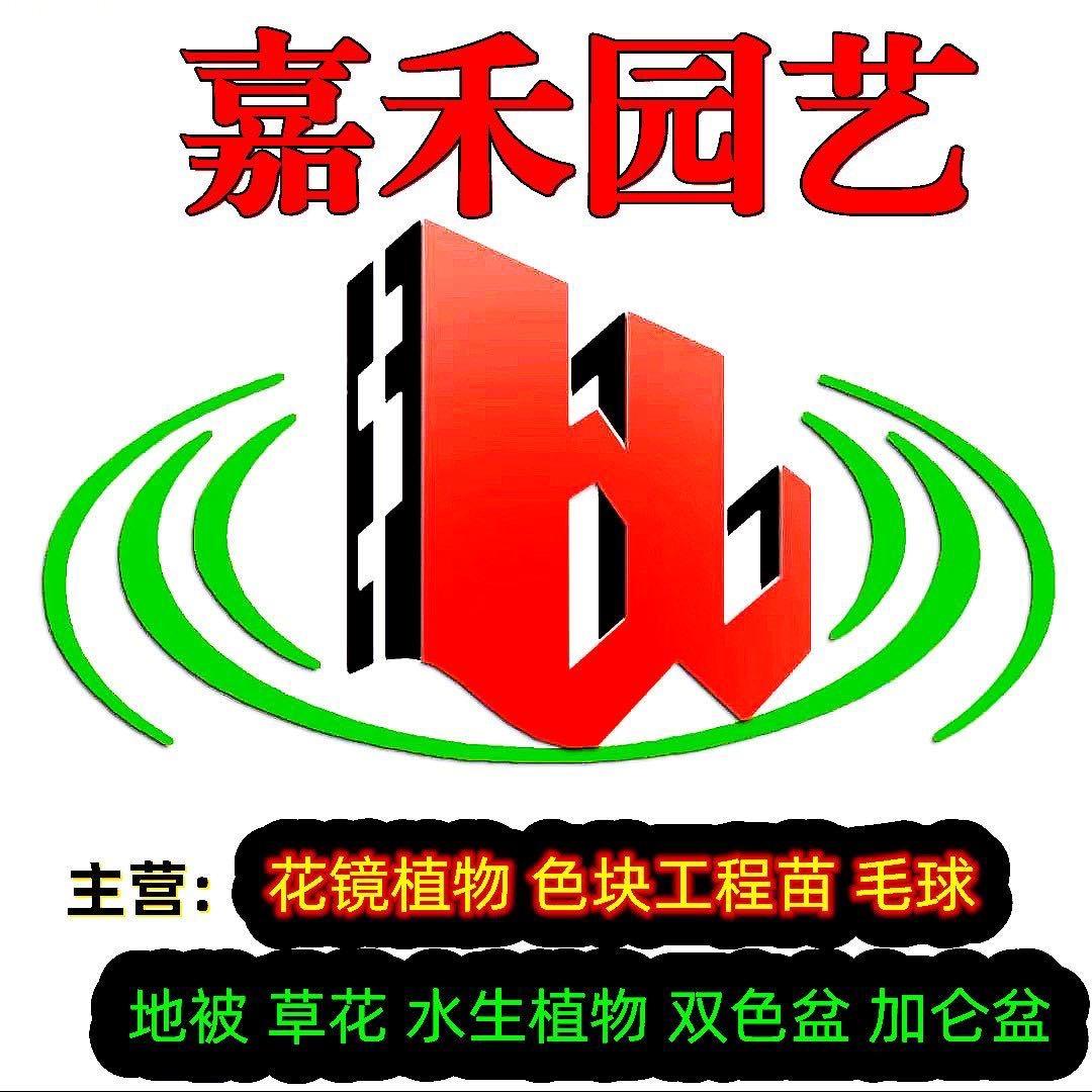 花镜植物基地集成供应商 地被草花花镜植物