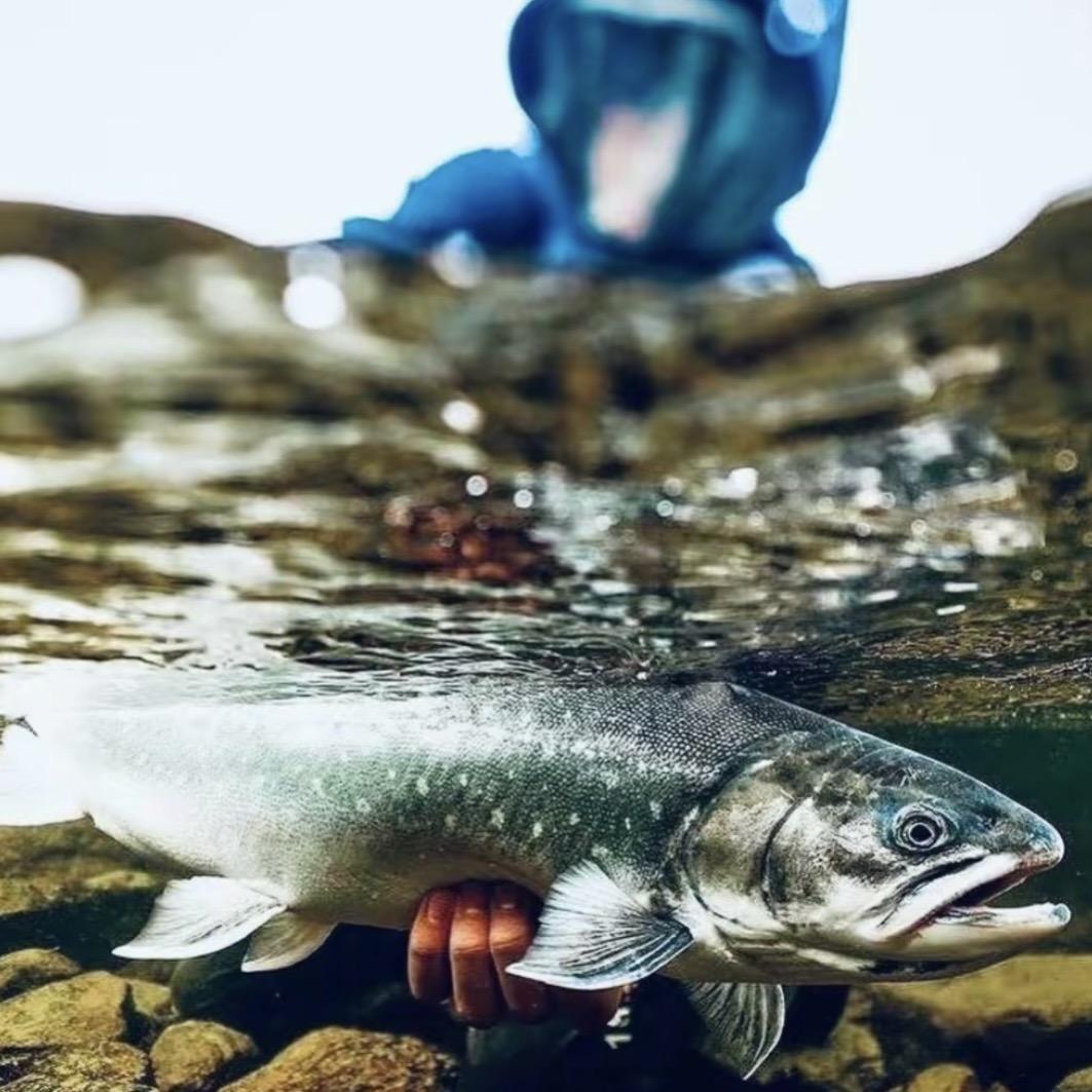 豫钓客大物工坊