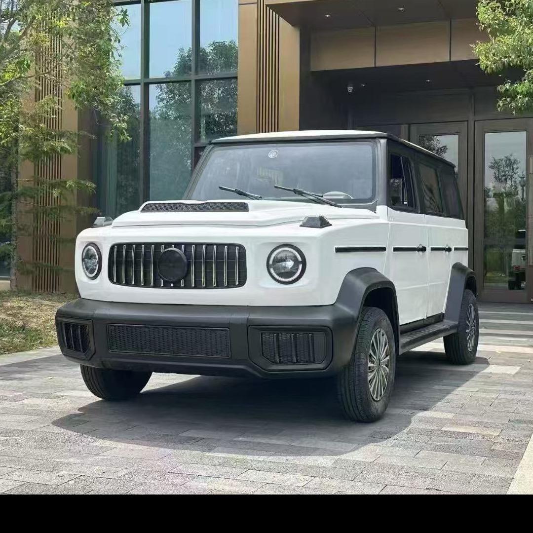 丽丽新能源-小李