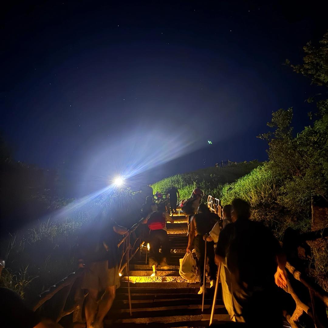 @本市最机智的毛肚