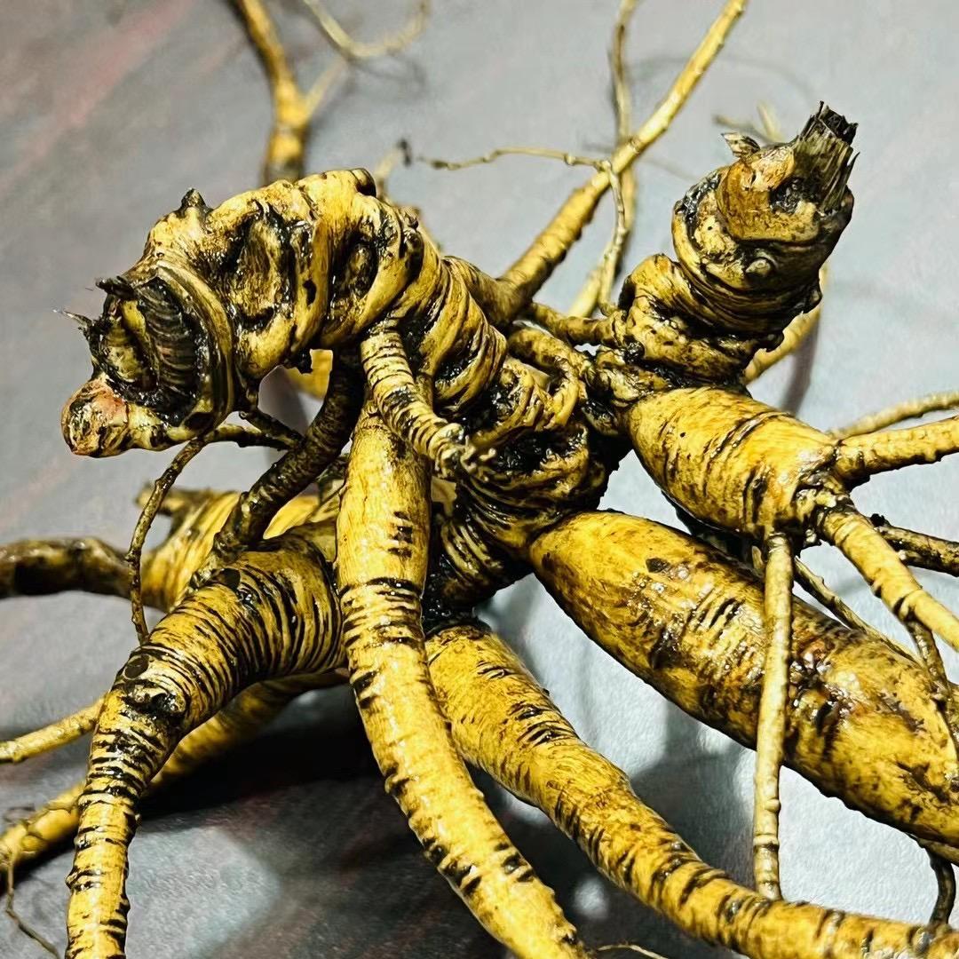 东北小丽＆新农人