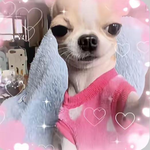 平平安安