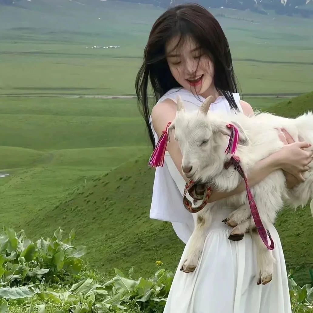 一米八的呆呆鱼🐟