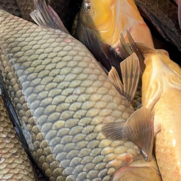 个性的我……