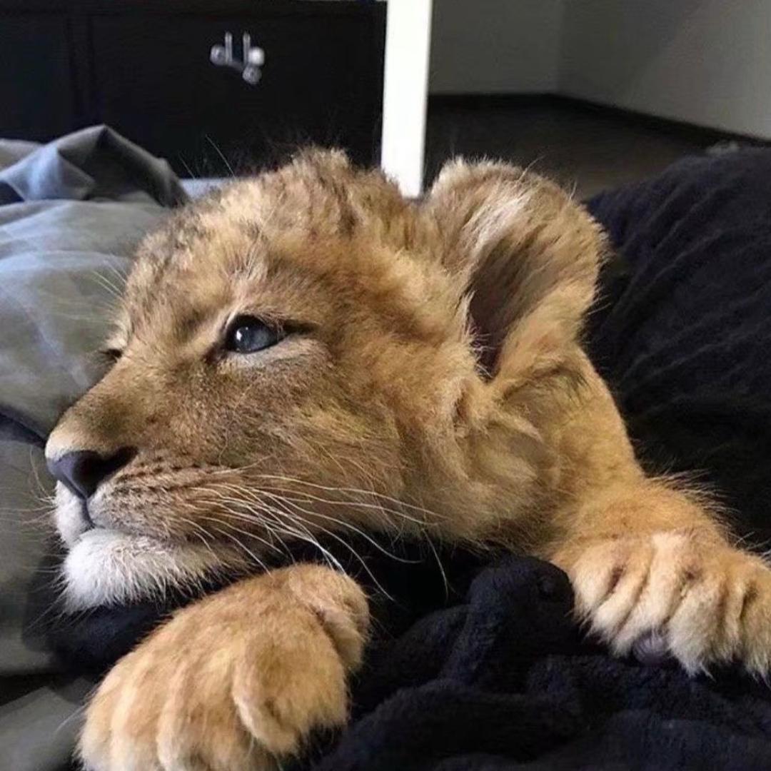 厦门最后的深情.