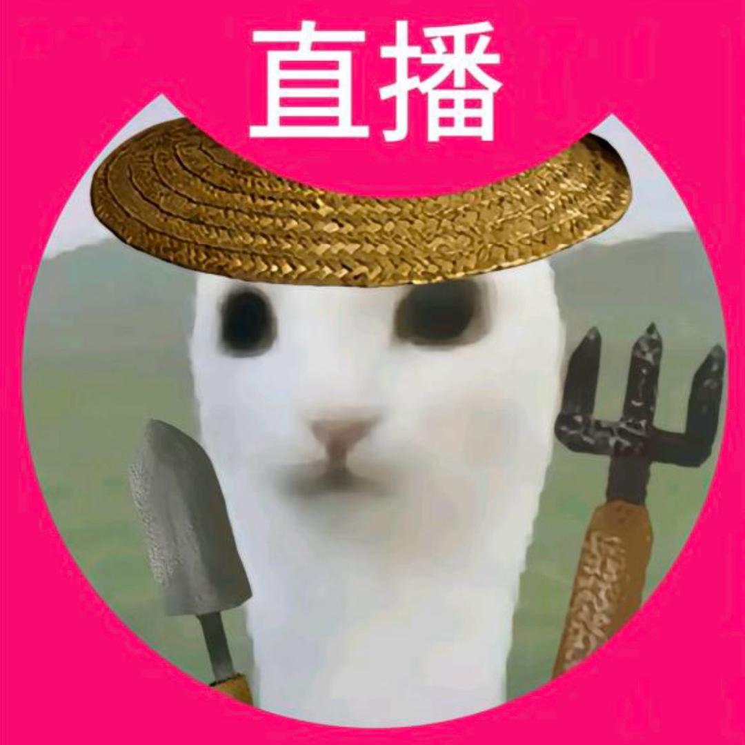 o0Oo