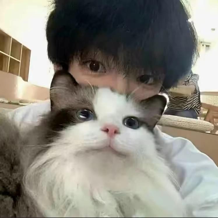 花千泽