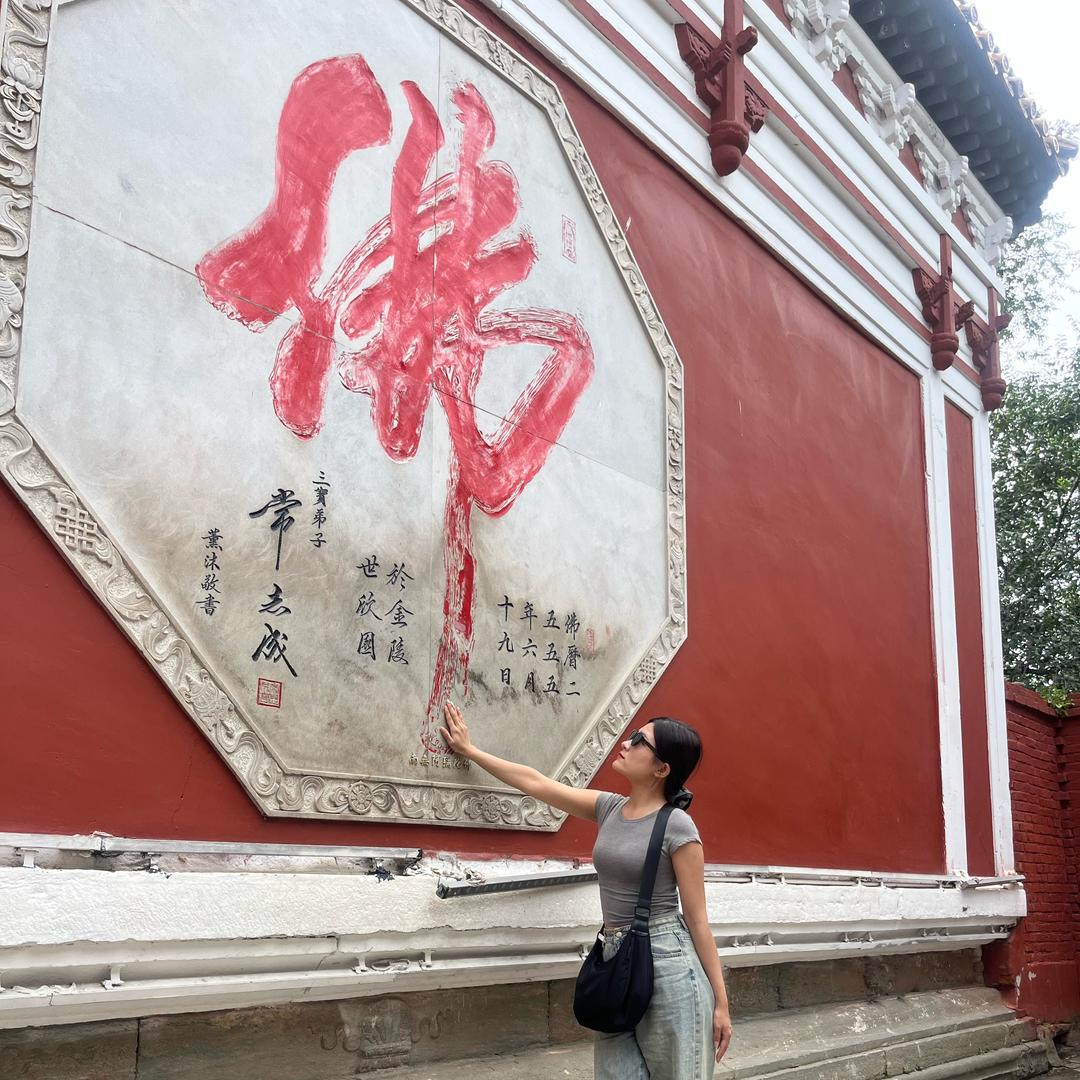 荣安 中央公园 锦上园（菲）