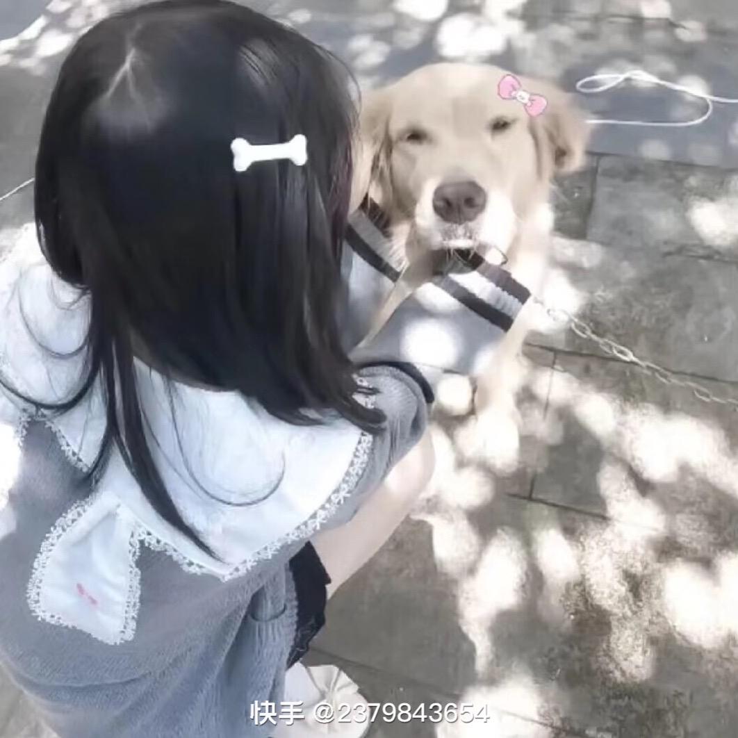 同洲……钢子