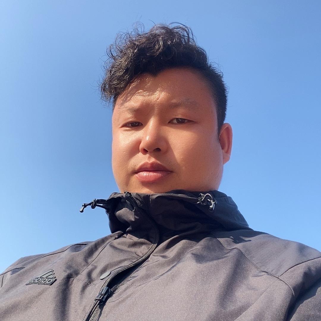 大漠胡杨